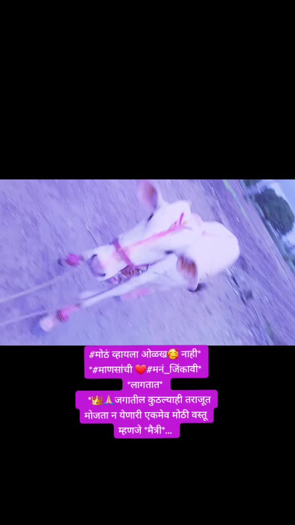 @Somnath Pawar