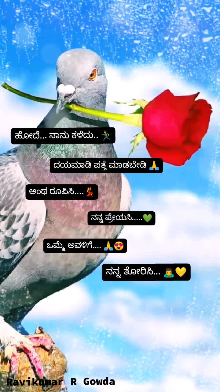 @user007566
