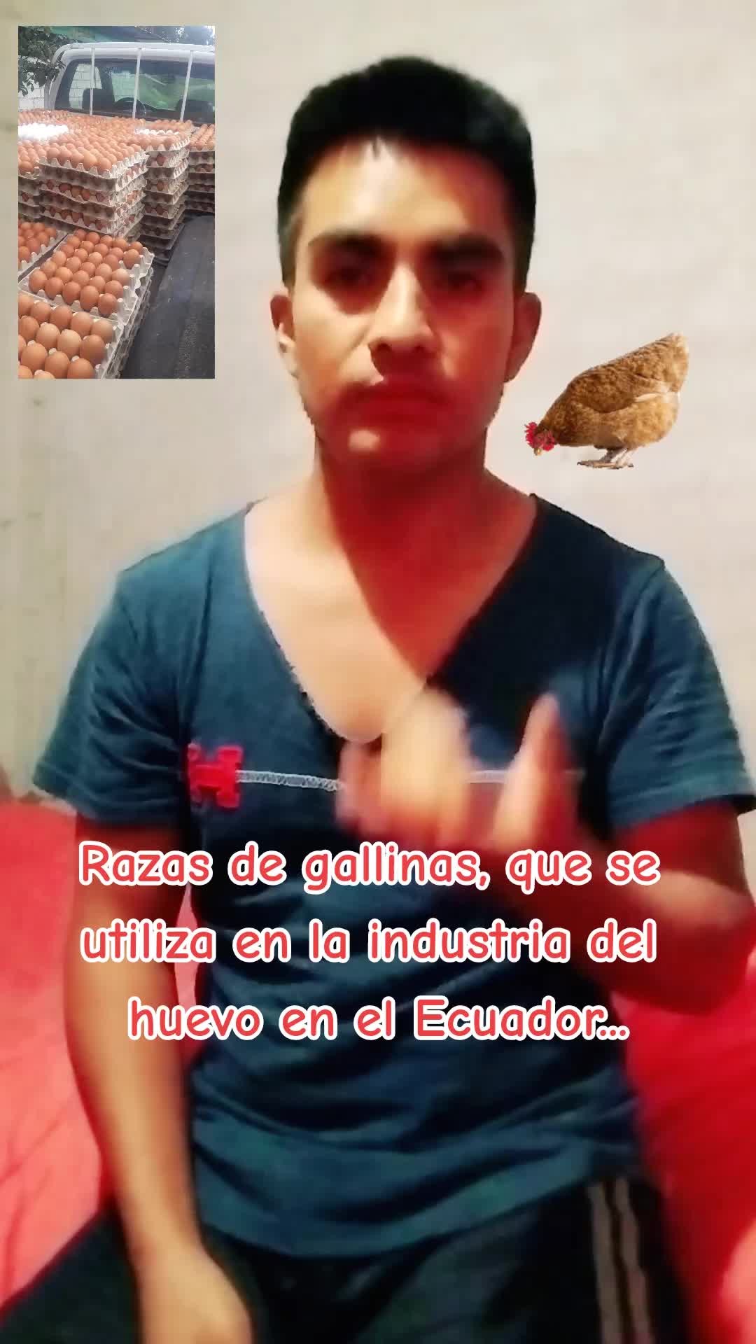 @Bolivar Coro