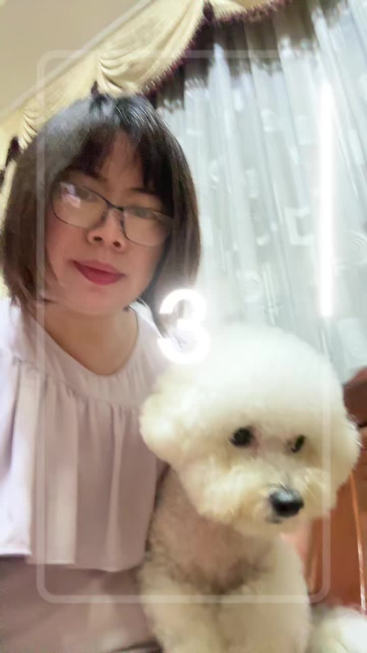 @哈尼