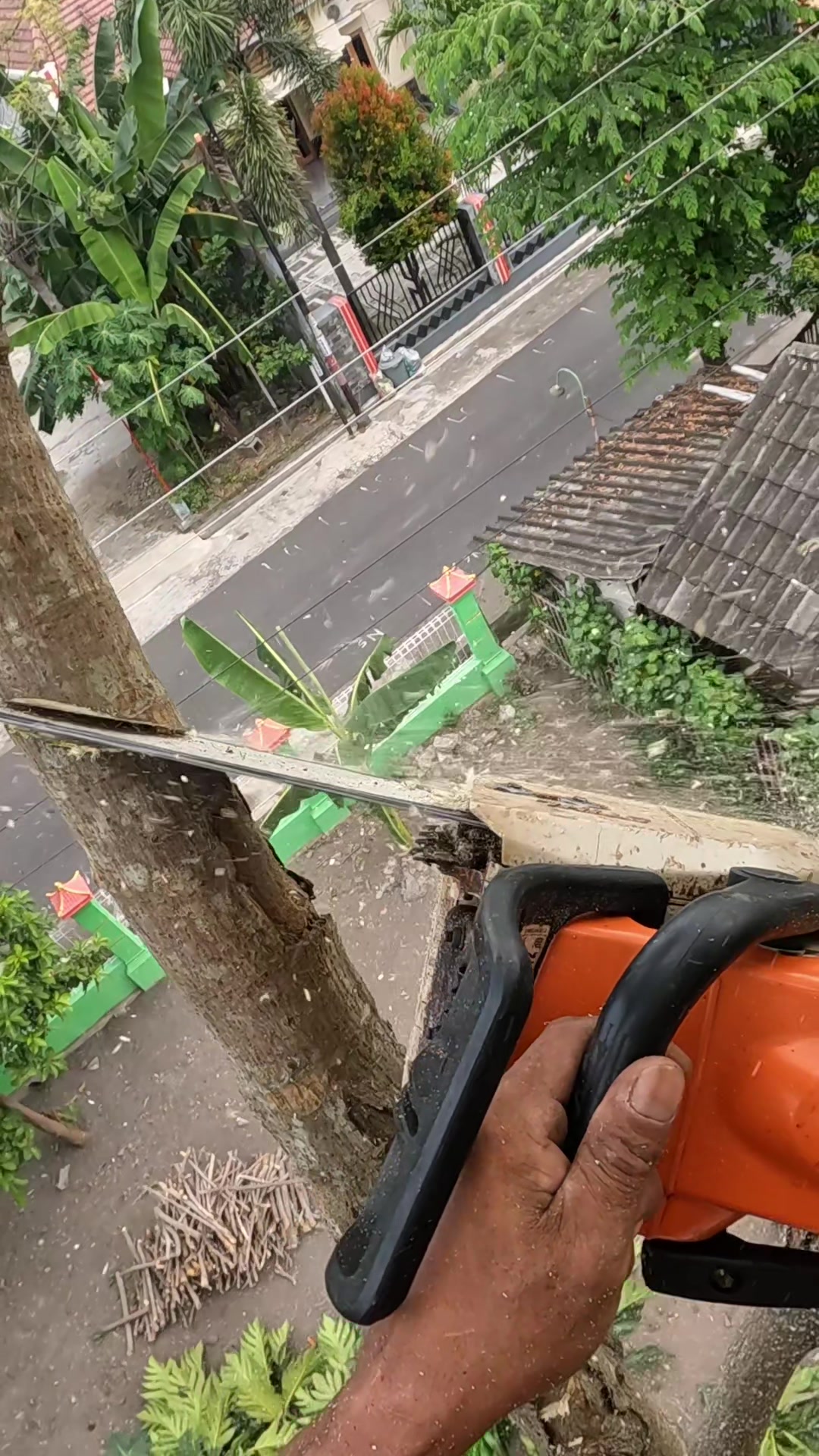 @Yulianto