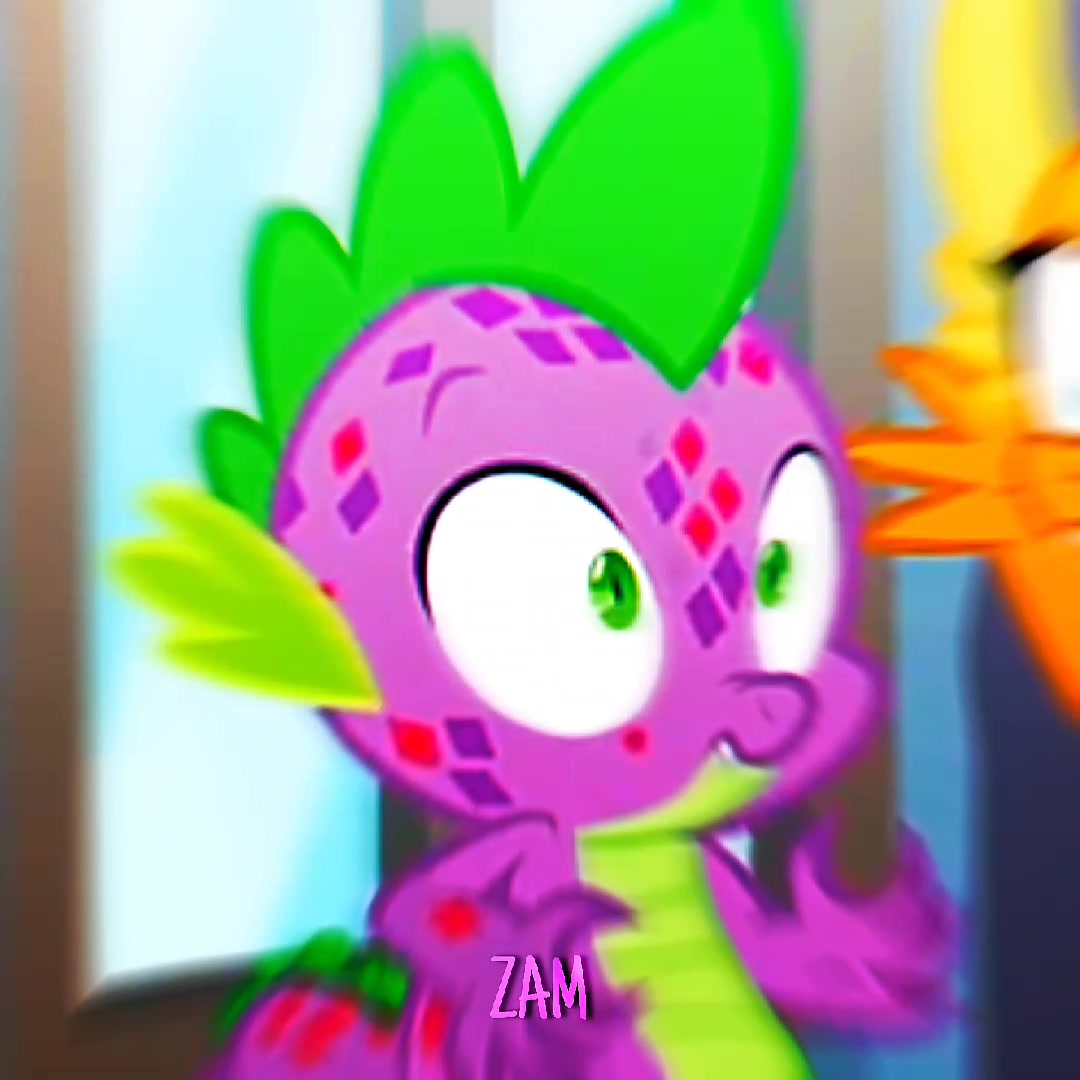 @&iexcl;ZAM! ★