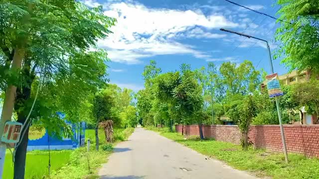 @JashanBenipal315