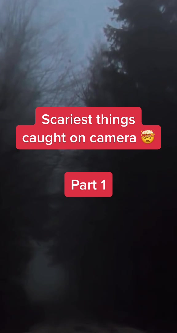 @Shutterzzz
