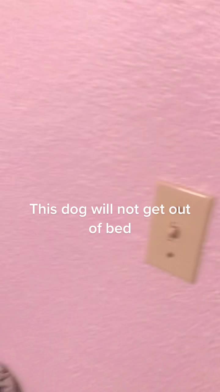 @X