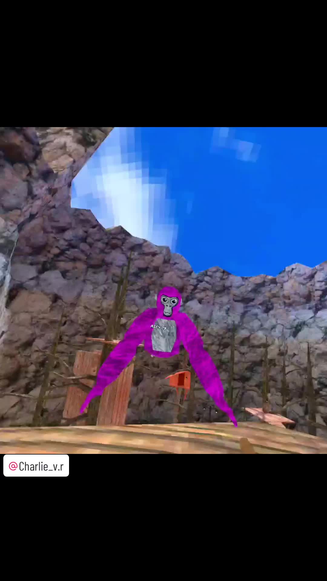 @PorpleVR