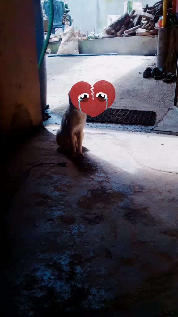 @BalamuruganBala429
