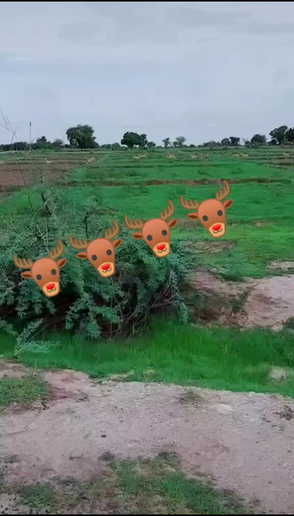 @madhu aluvala