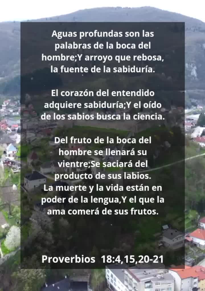 @Vicayquipa