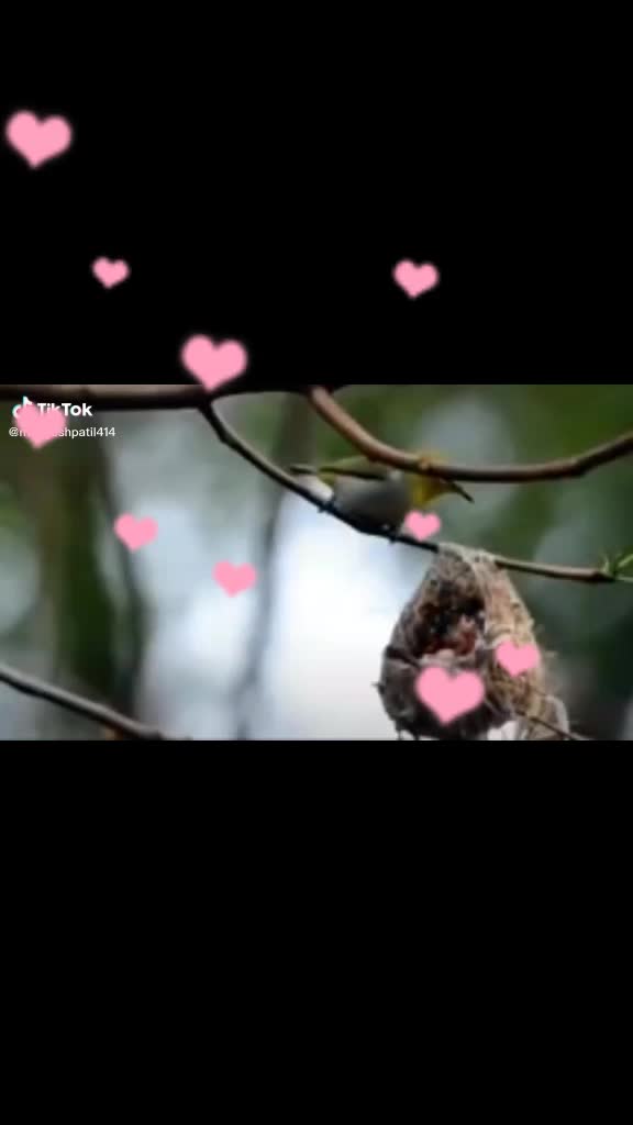 @💕@tanuthakre123💕