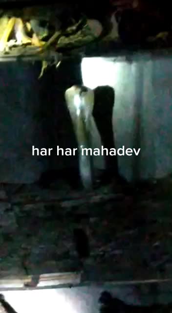 @RK RAKESH