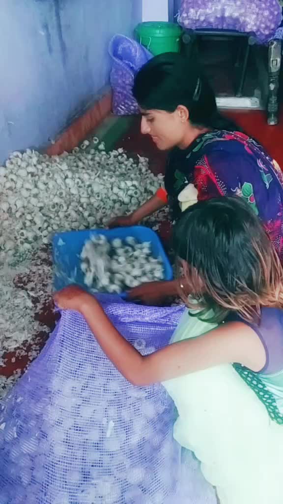 @bhai bahan