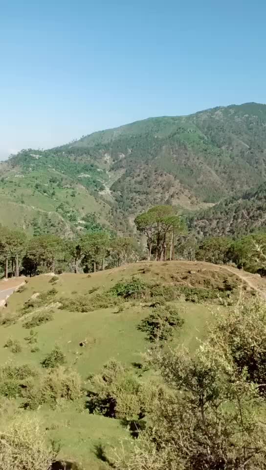 @@triptathakur.