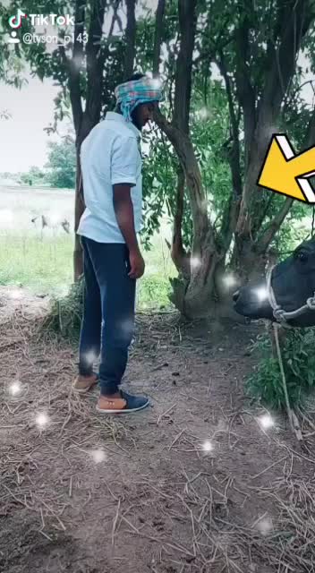 @@ Kommula$ Naveen 99