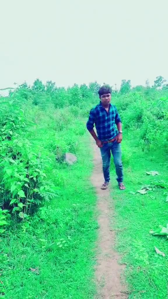 @Little_Star_ Silu