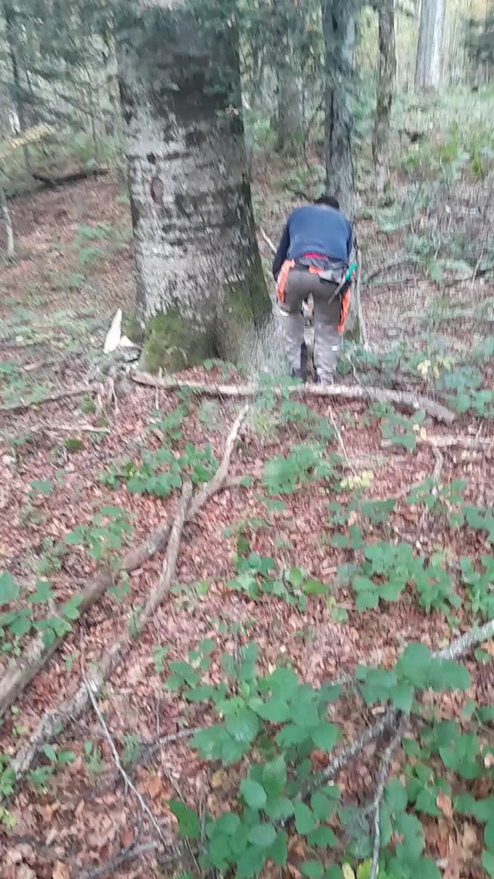 @amirhodzic881