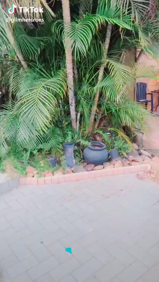 @user29382349113