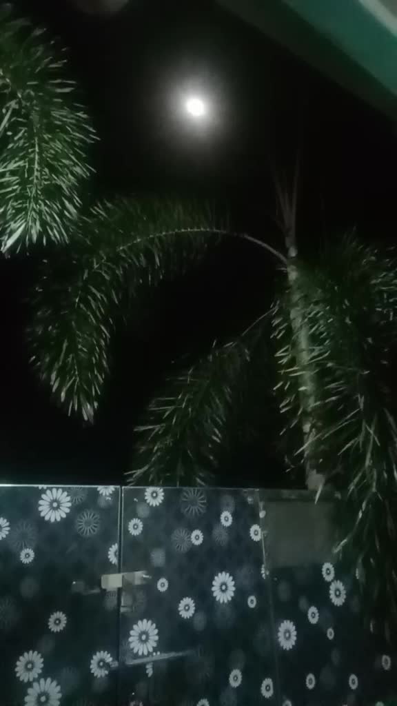 @Radhika 944
