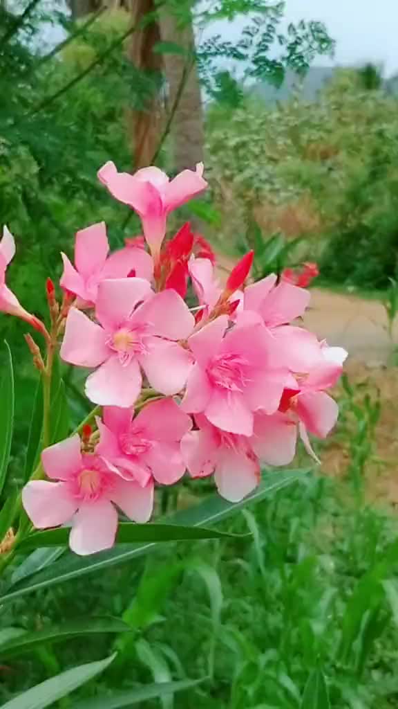 @விவசாயி 💯/💯