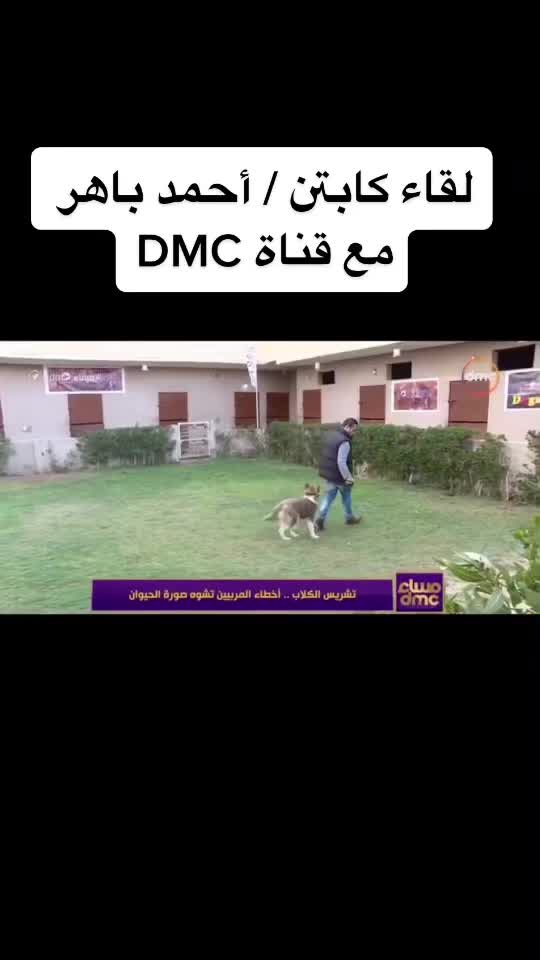 @Dogs Egypt - Ahmed Baher