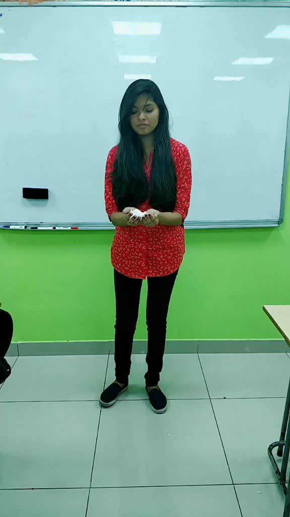 @Palak Patel