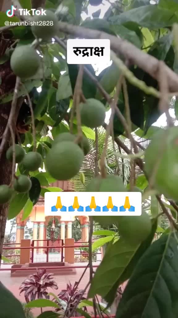 @PK THAKUR