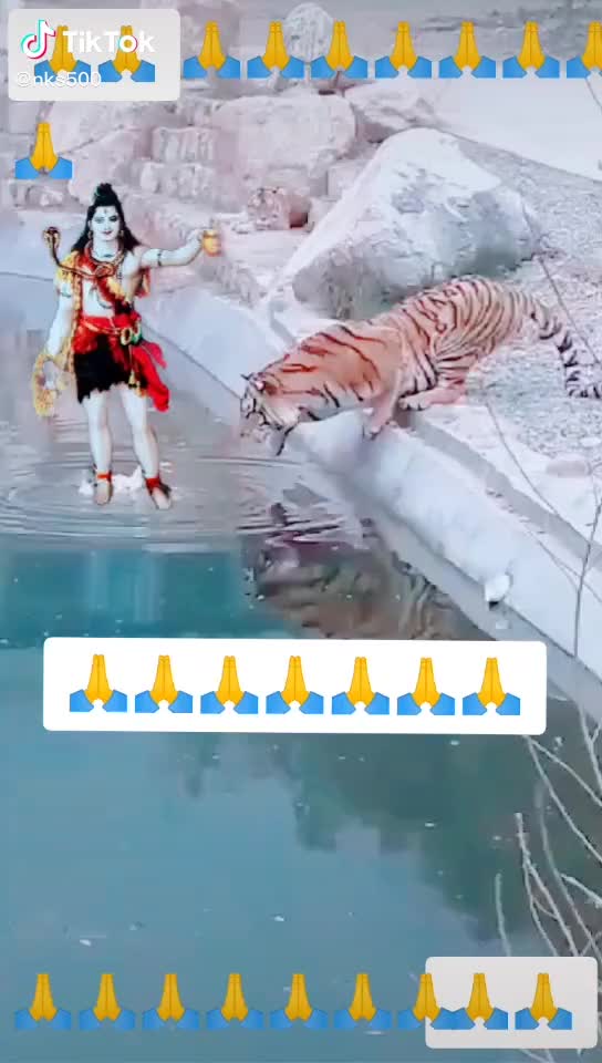 @user7631568436047