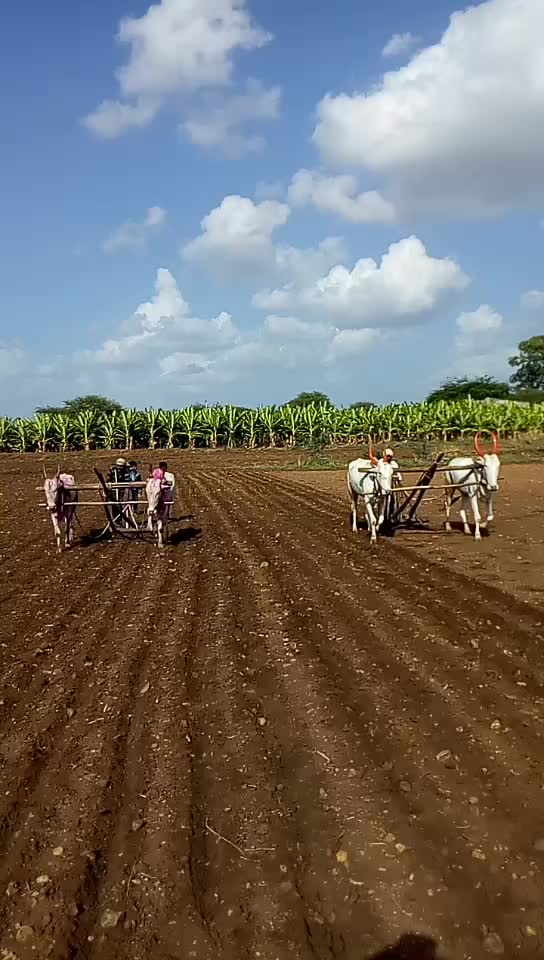 @ಕಿರಾತಕ