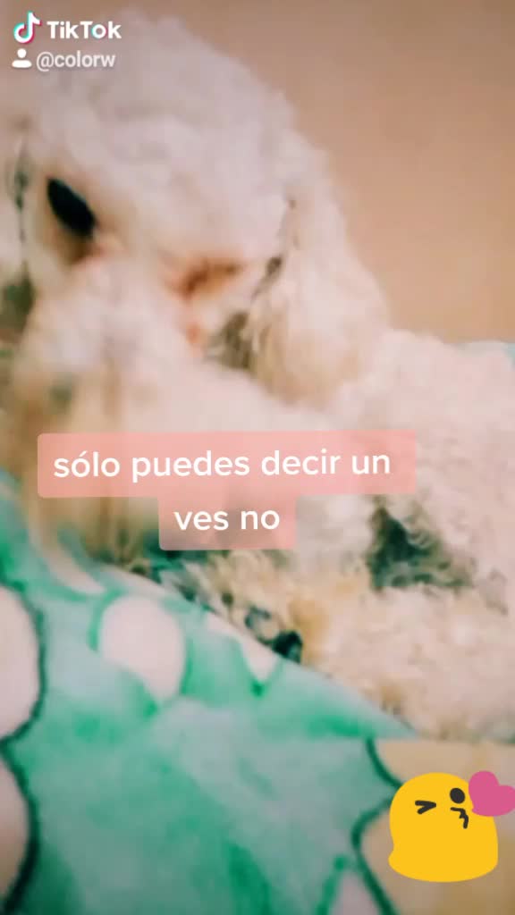 @Princesadulce&mdash;