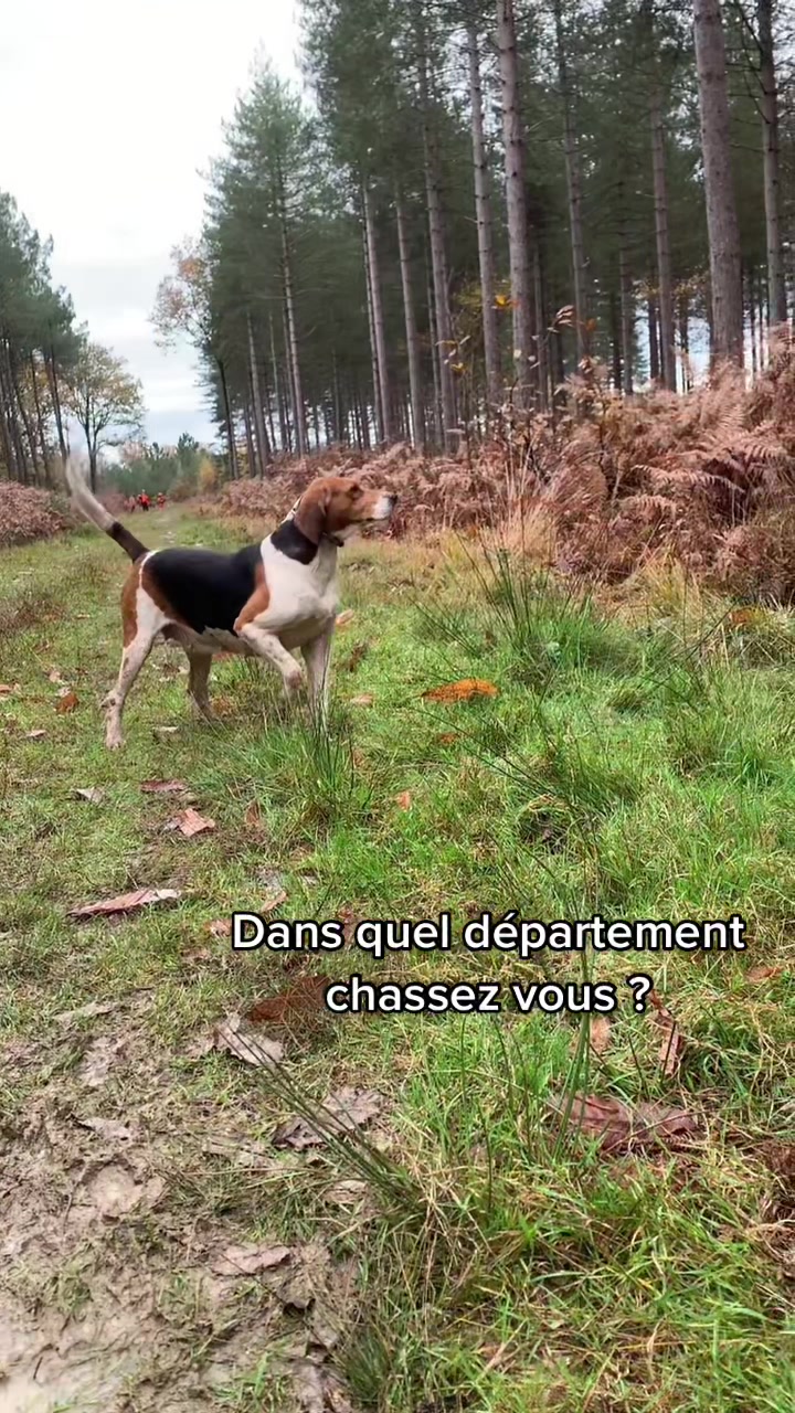 @chasseresses_boisclairs