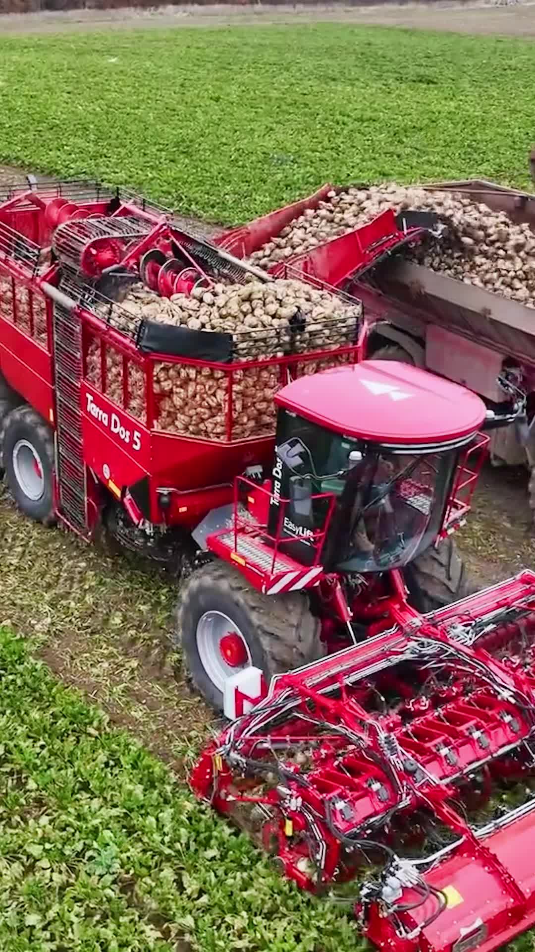 @Frankly Farming