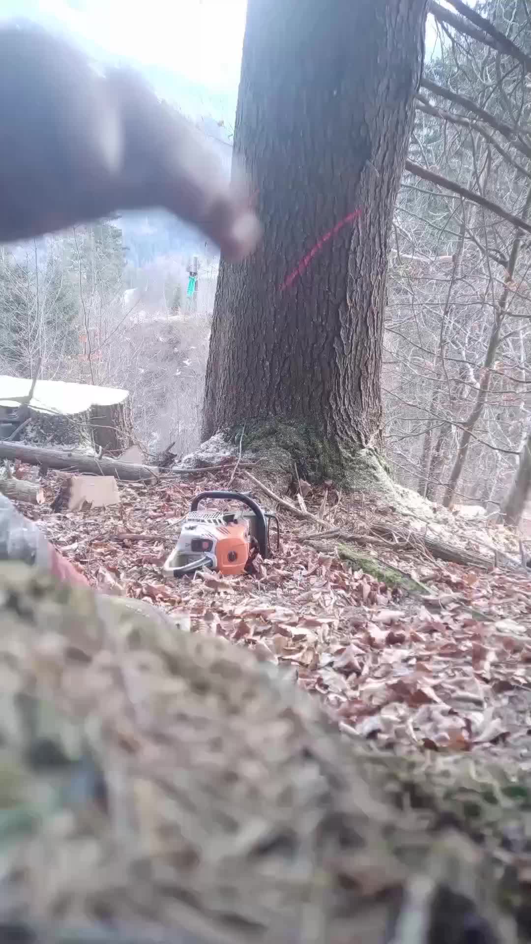 @cäp. Nänduu