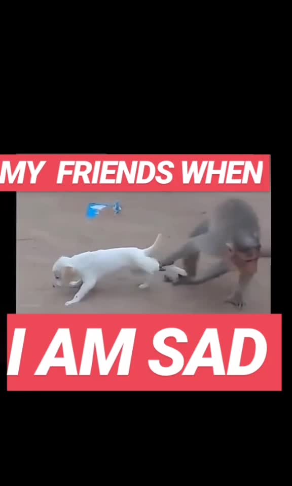 @WHO CARES