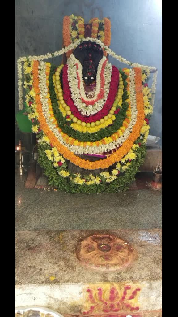 @Babu Ntr