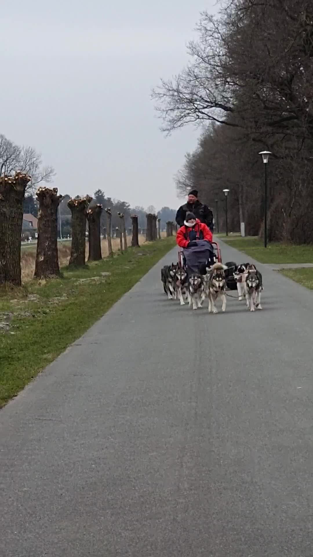 @Husky Ranche Surwold