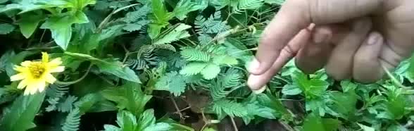 @Praveen Raj