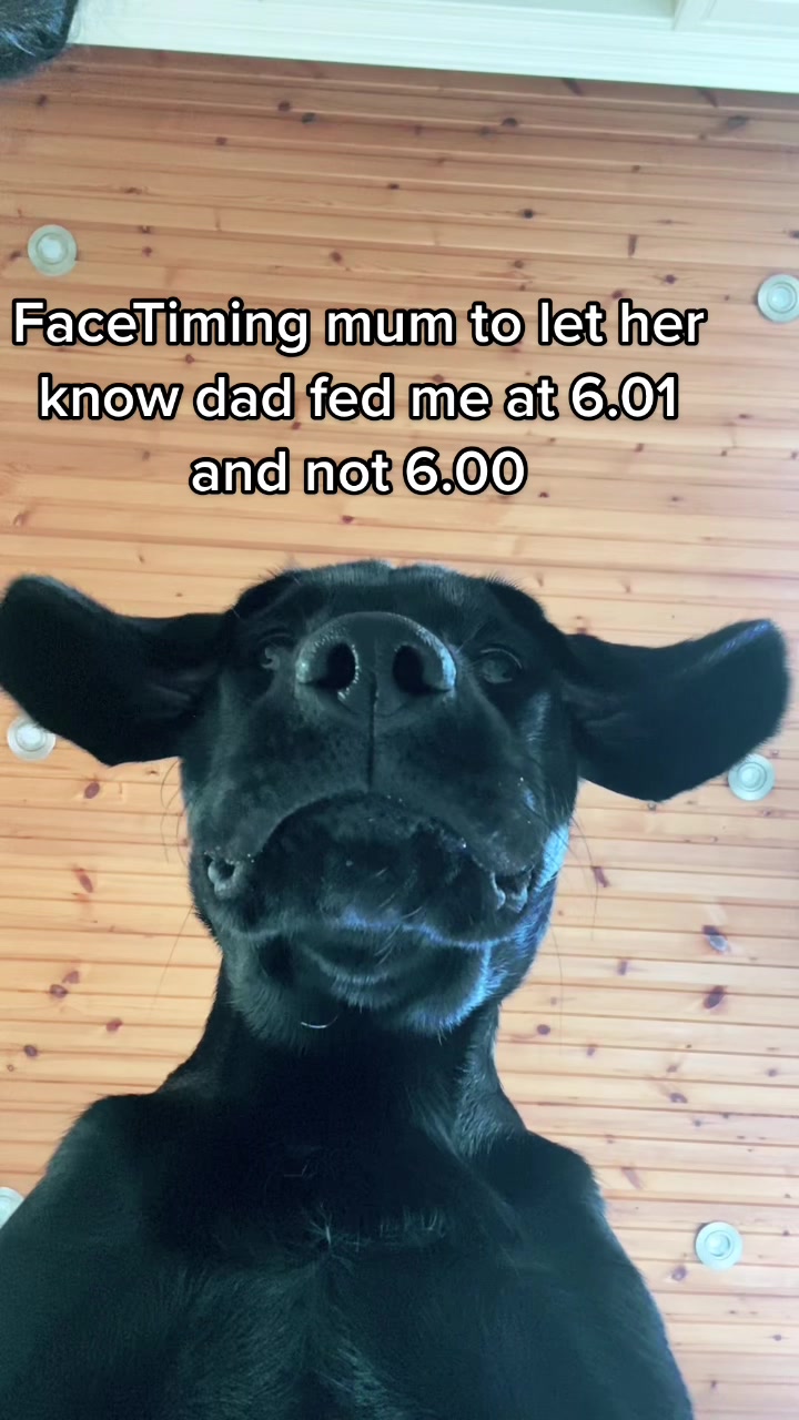 @Melduke20