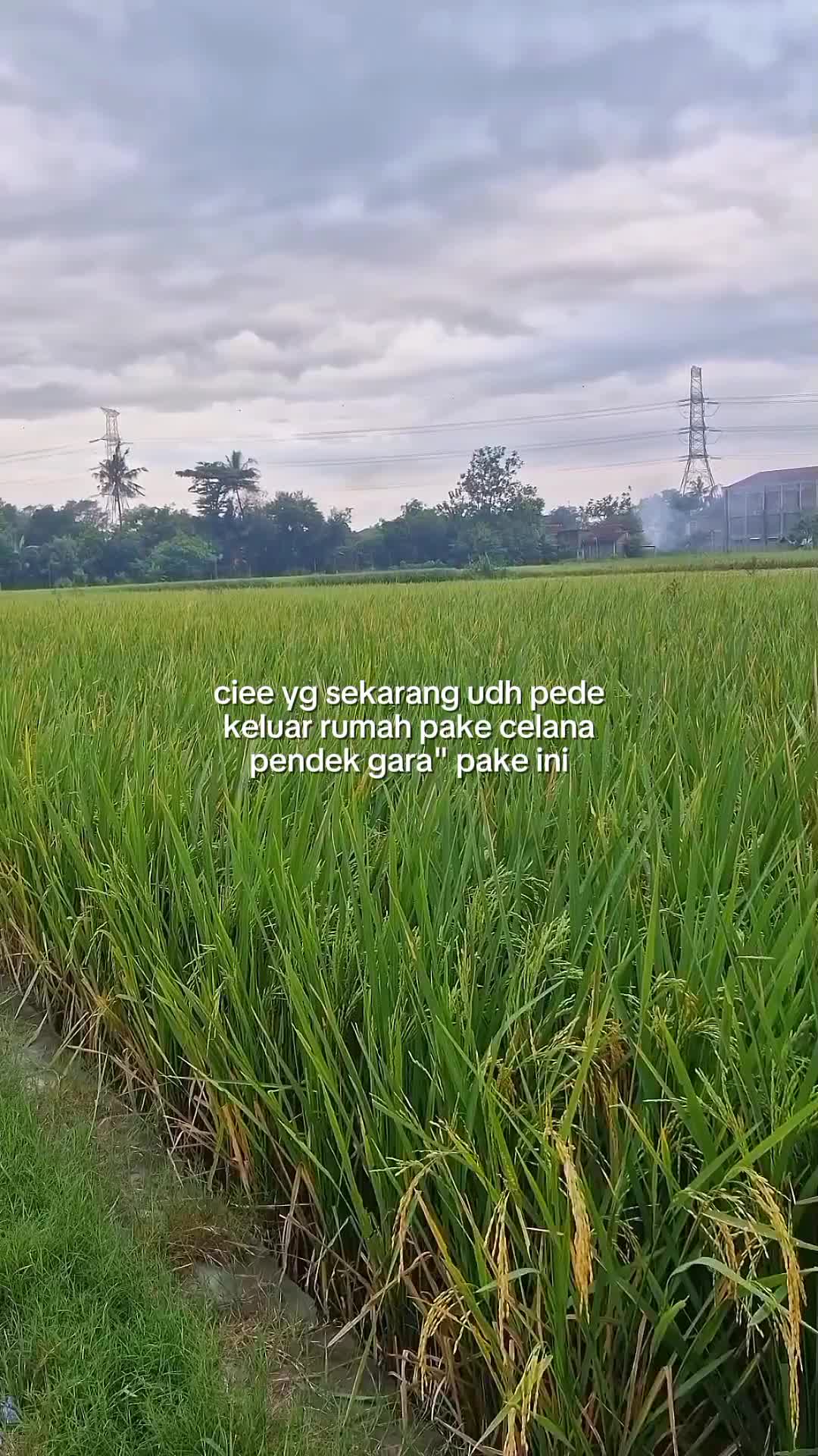 @kerikil
