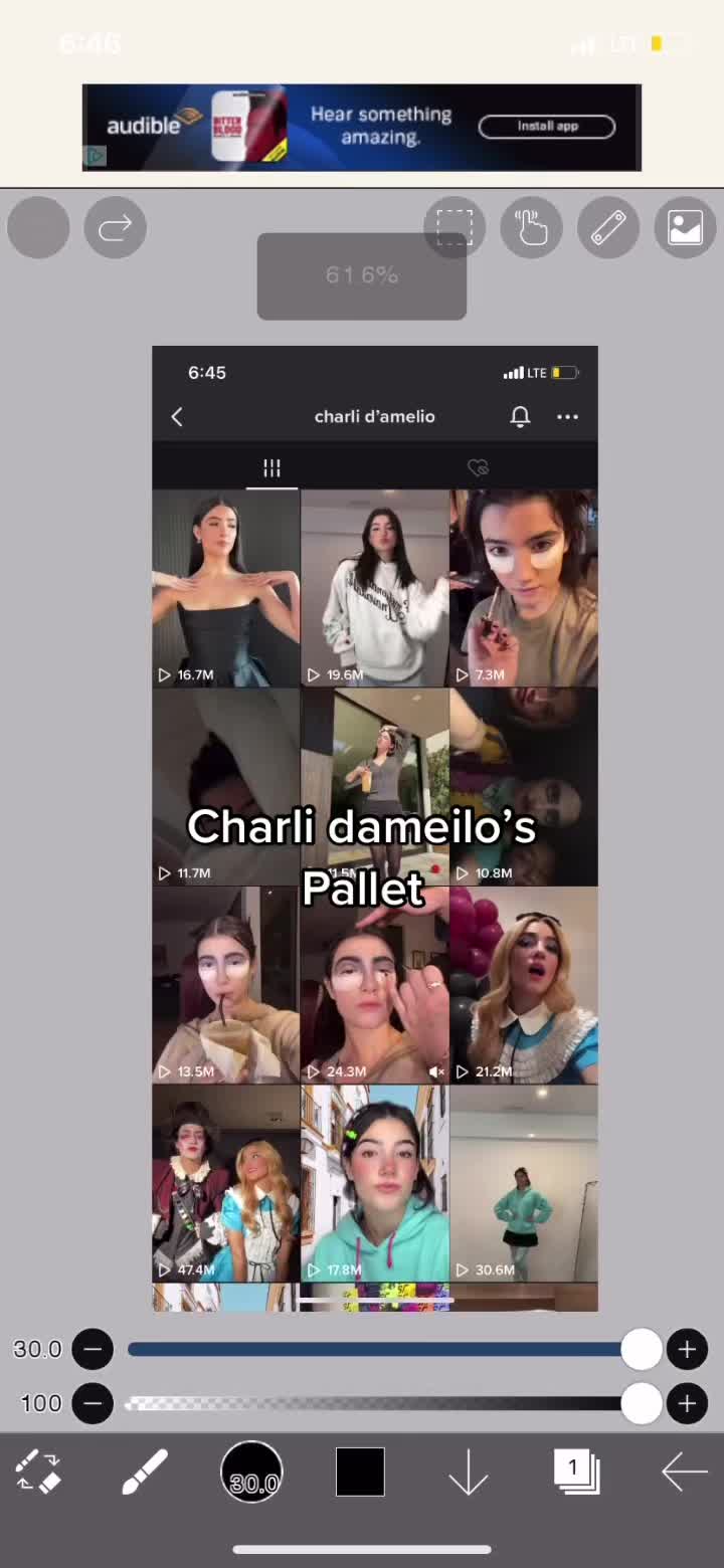 @tiktokersz_pallets