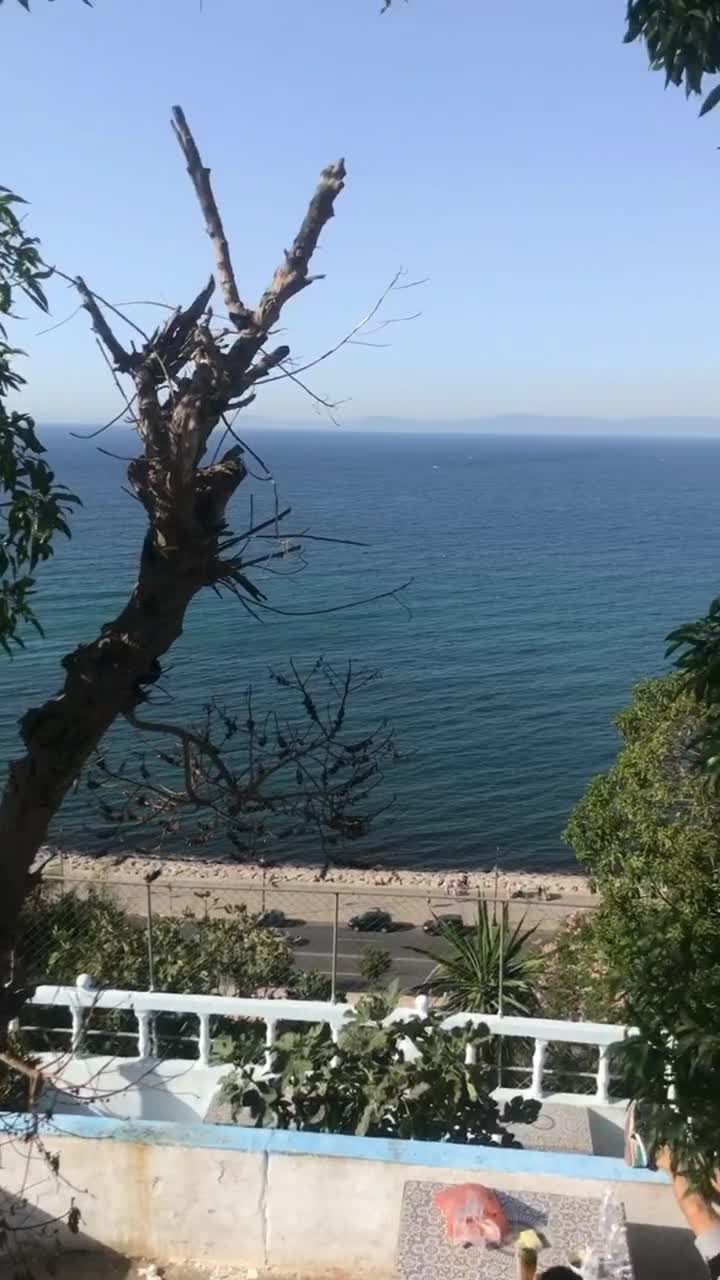 @lemowgli