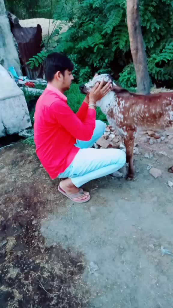 @Siku_Jogi_😎