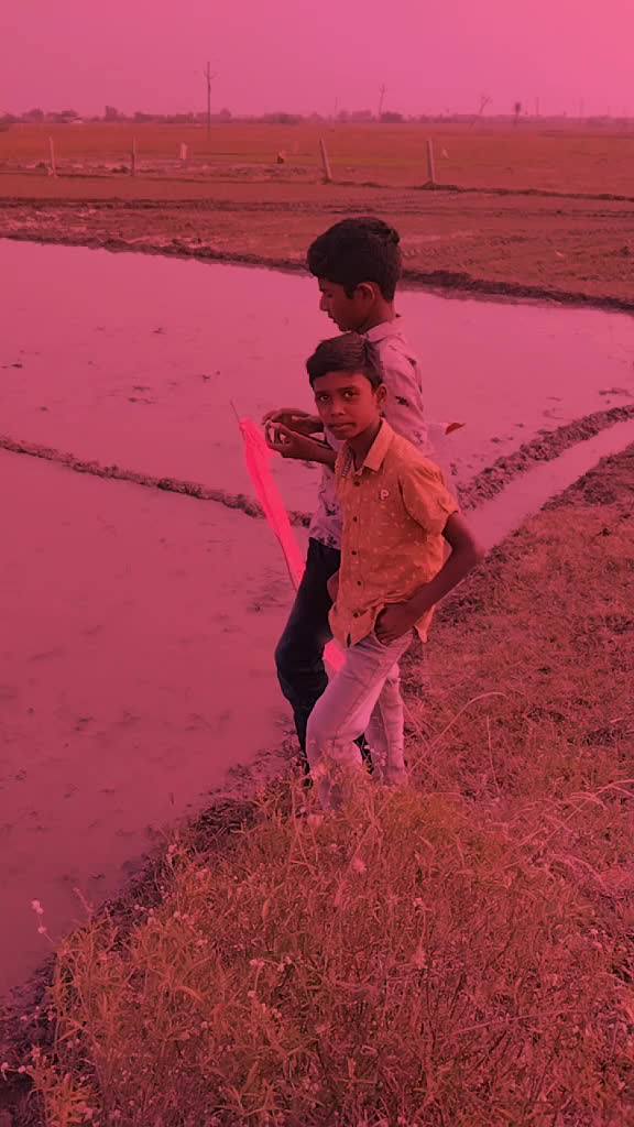 @user2557878230118