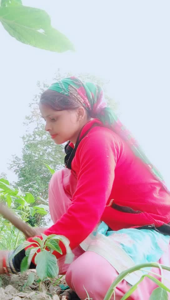 @Riya G....