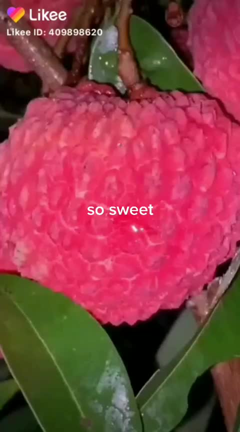 @Raj & anu