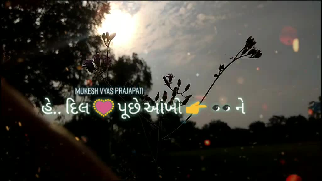 @Mukesh VyasPrajapati