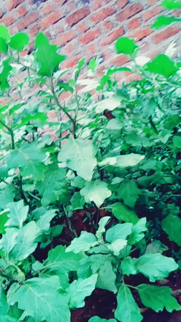 @Dipak pawar
