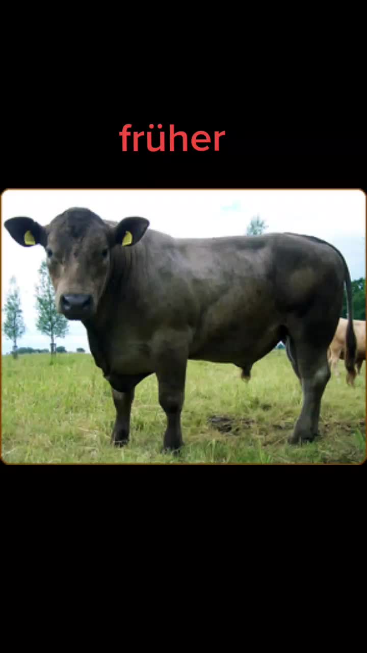 @jasonscheller210tg