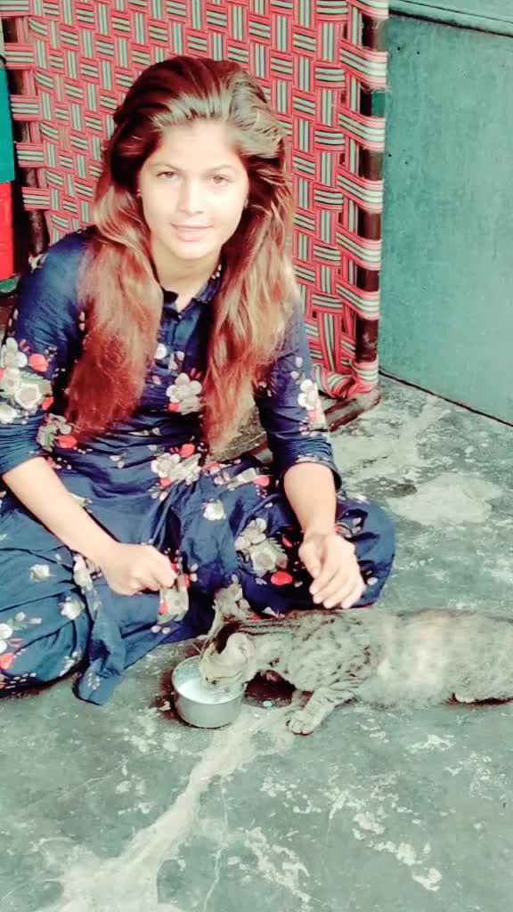 @user640322tiktok.com