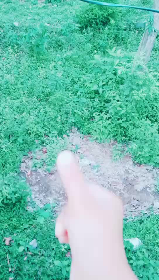 @choudharyPrince