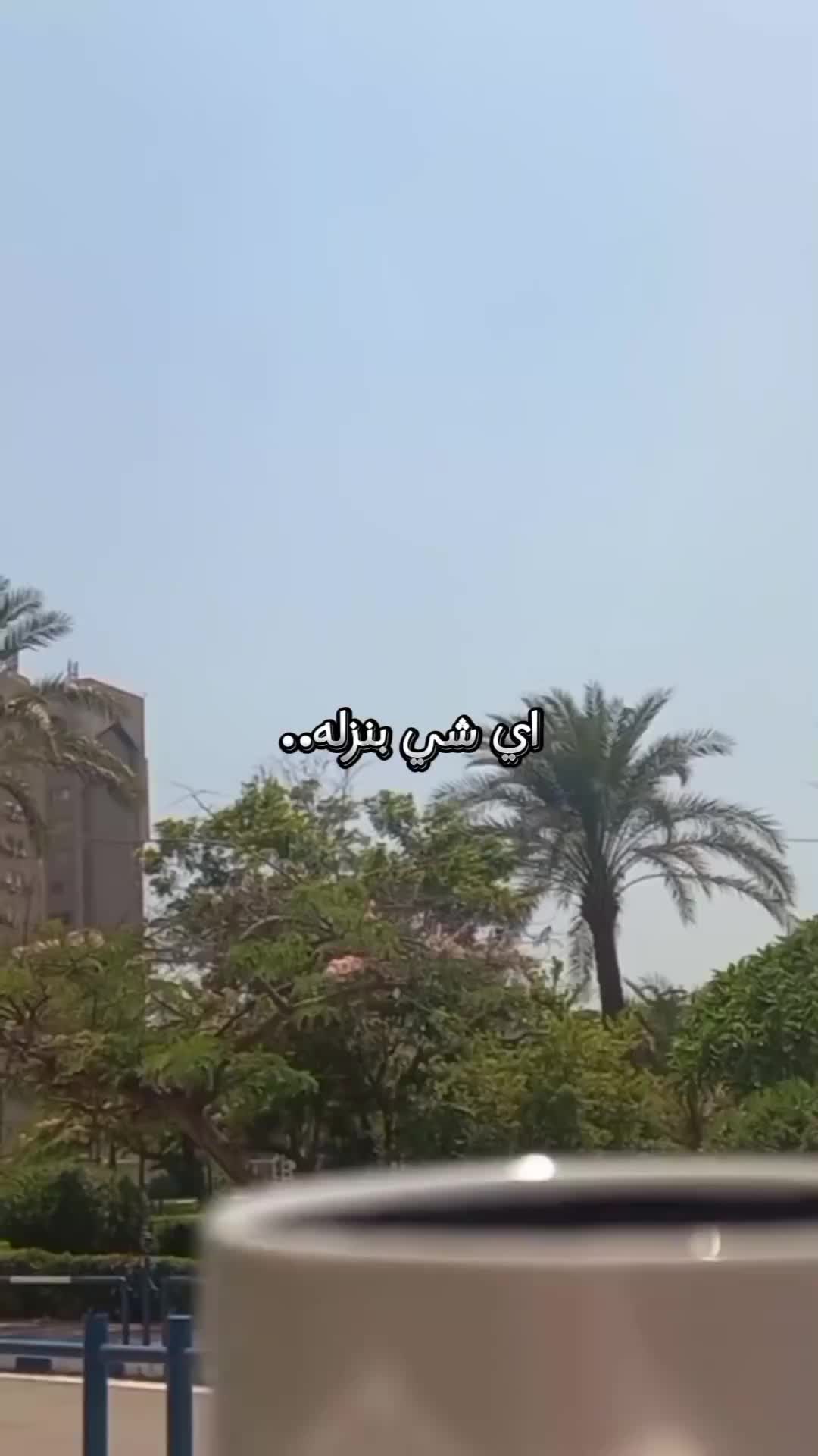 @Amani Gharbi